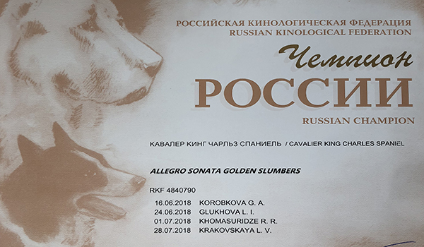 Received official documents of the princess, CHAMPION OF RUSSIA, CHAMPION OF RKF.